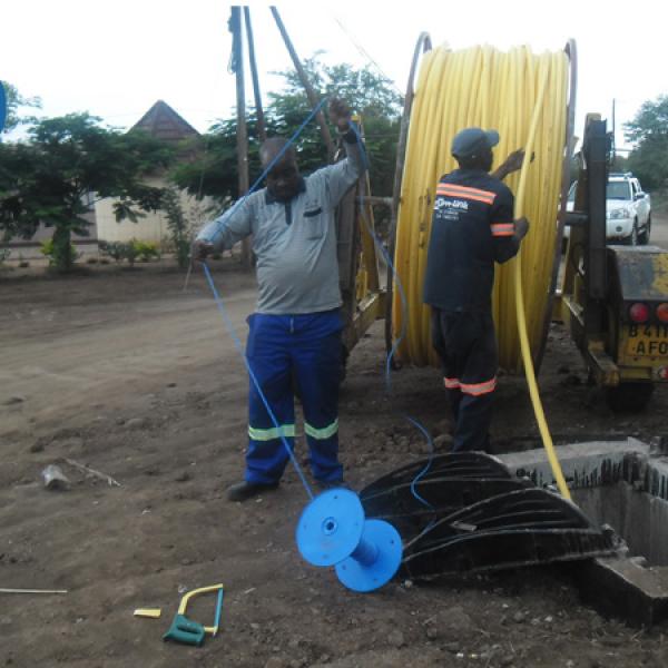Laying yellow subducts